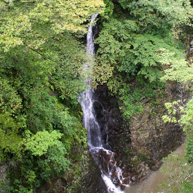 白絹の滝の写真