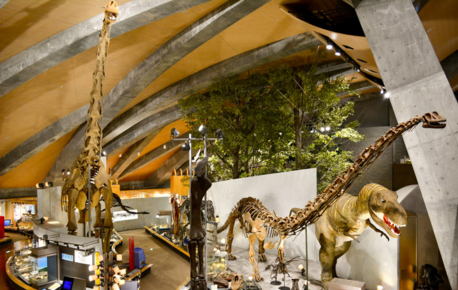 群馬県立自然史博物館の写真