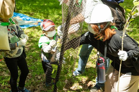 33IMG_1473.jpg