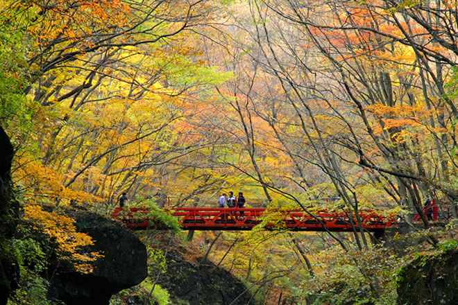 紅葉にかこまれた鹿飛橋の写真