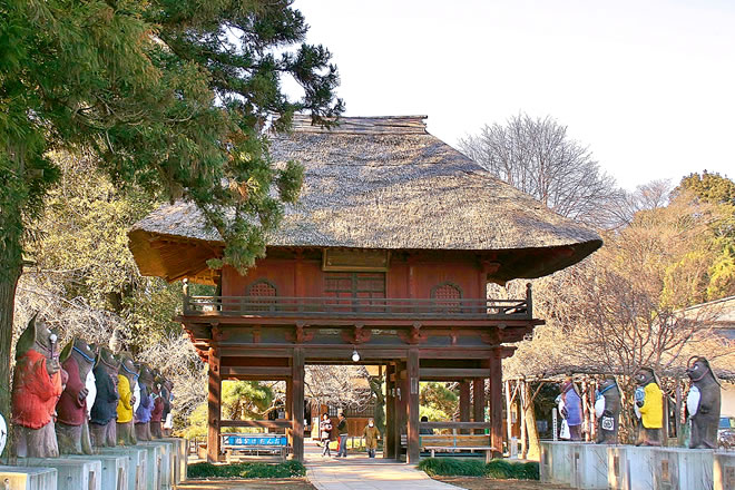 たぬきの像が立ち並ぶ茂林寺の境内の写真