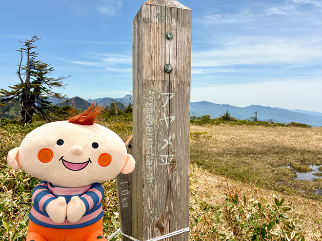 アヤメ平のほぺたんの写真