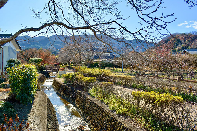 雄川堰遊歩道の写真