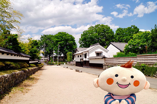 ほぺたんの写真