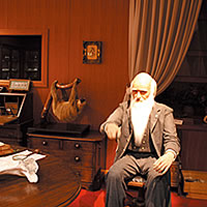 ダーウィンの部屋の写真