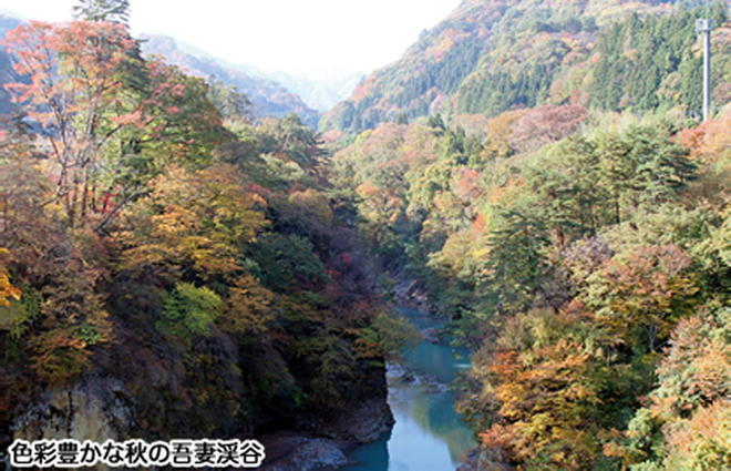 色彩豊かな秋の吾妻渓谷の写真