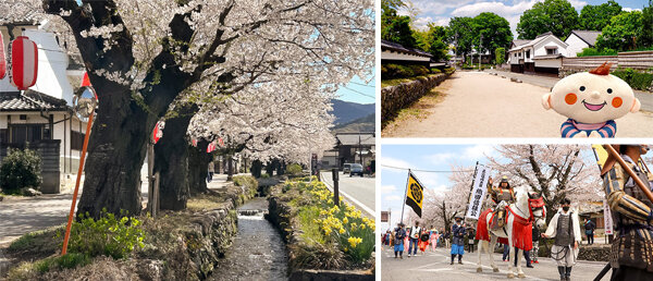 ほぺたんの写真