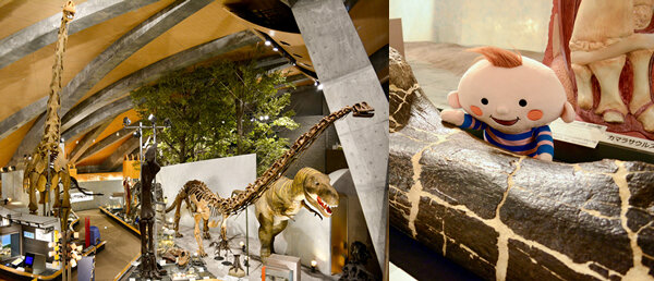 群馬県立自然史博物館の写真
