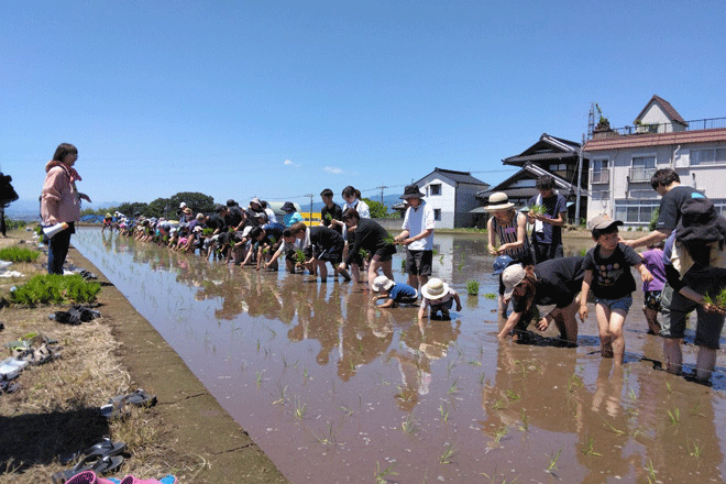 下田農園お米づくり体験