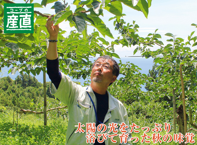 太陽の光をたっぷり浴びて育った秋の味覚