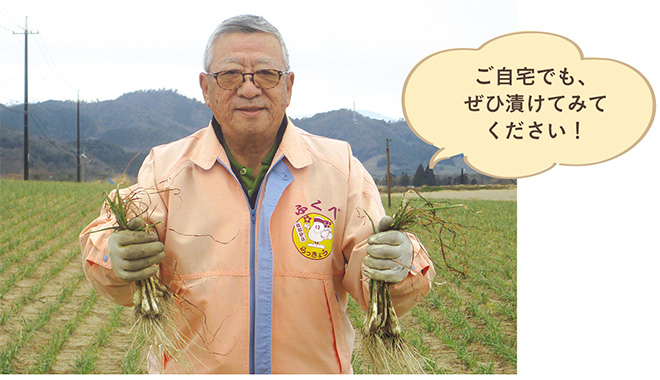 ご自宅でも、ぜひ漬けてみてください！