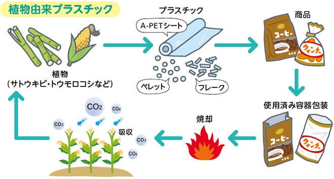 植物由来プラスチックの分解の仕組み